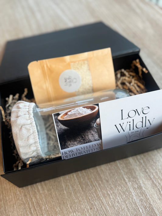 The Mini Dehydrated Starter Set